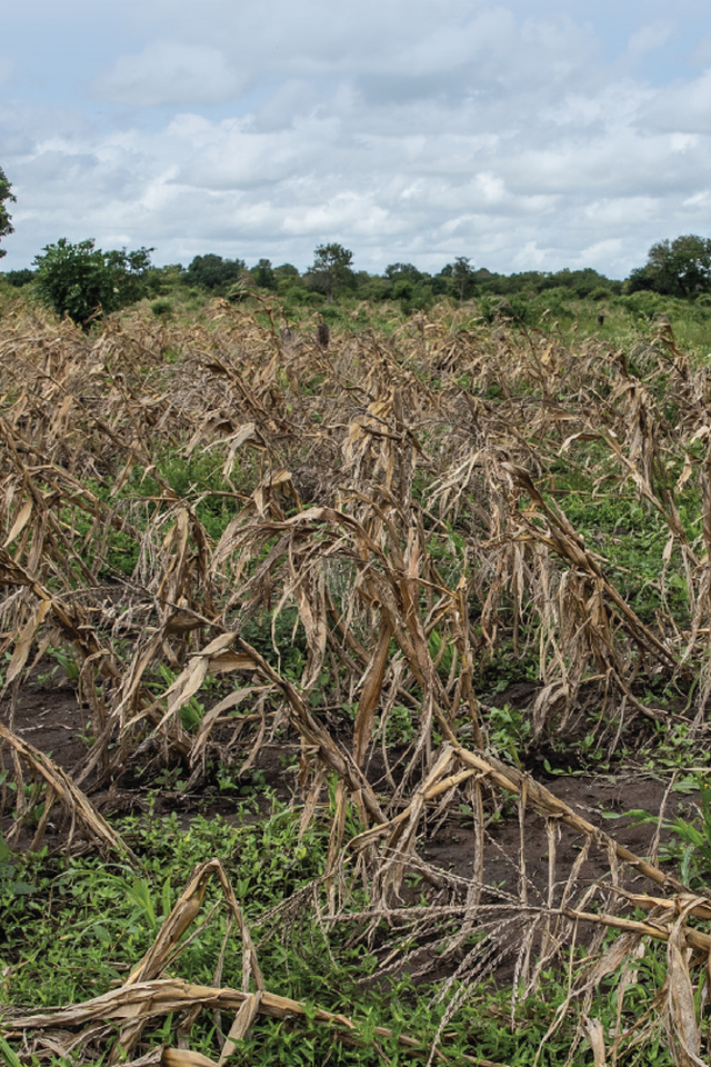 Integration of HIV and sexual and reproductive health and rights in El Niño responses