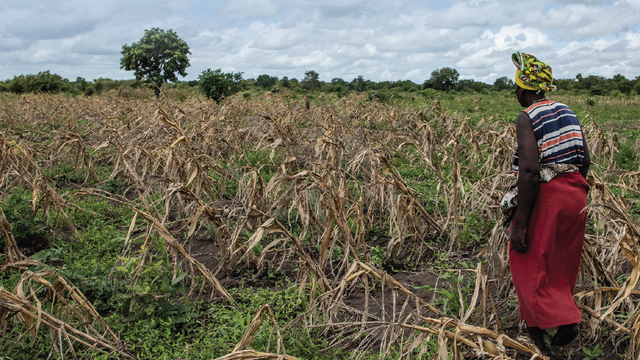Integration of HIV and sexual and reproductive health and rights in El Niño responses