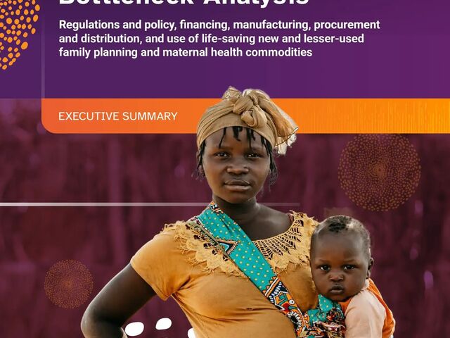 Summary: Landscape Bottleneck Analysis